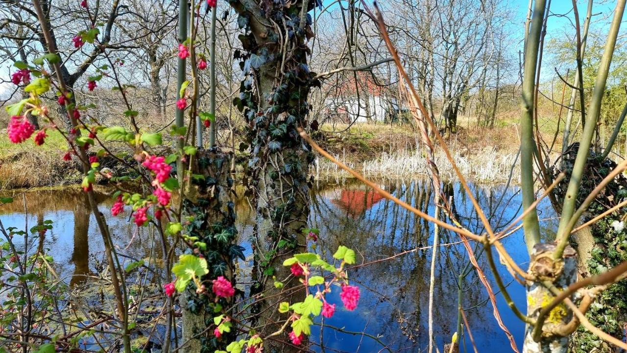 Apartamento Bornholm Majalis Rønne Exterior foto